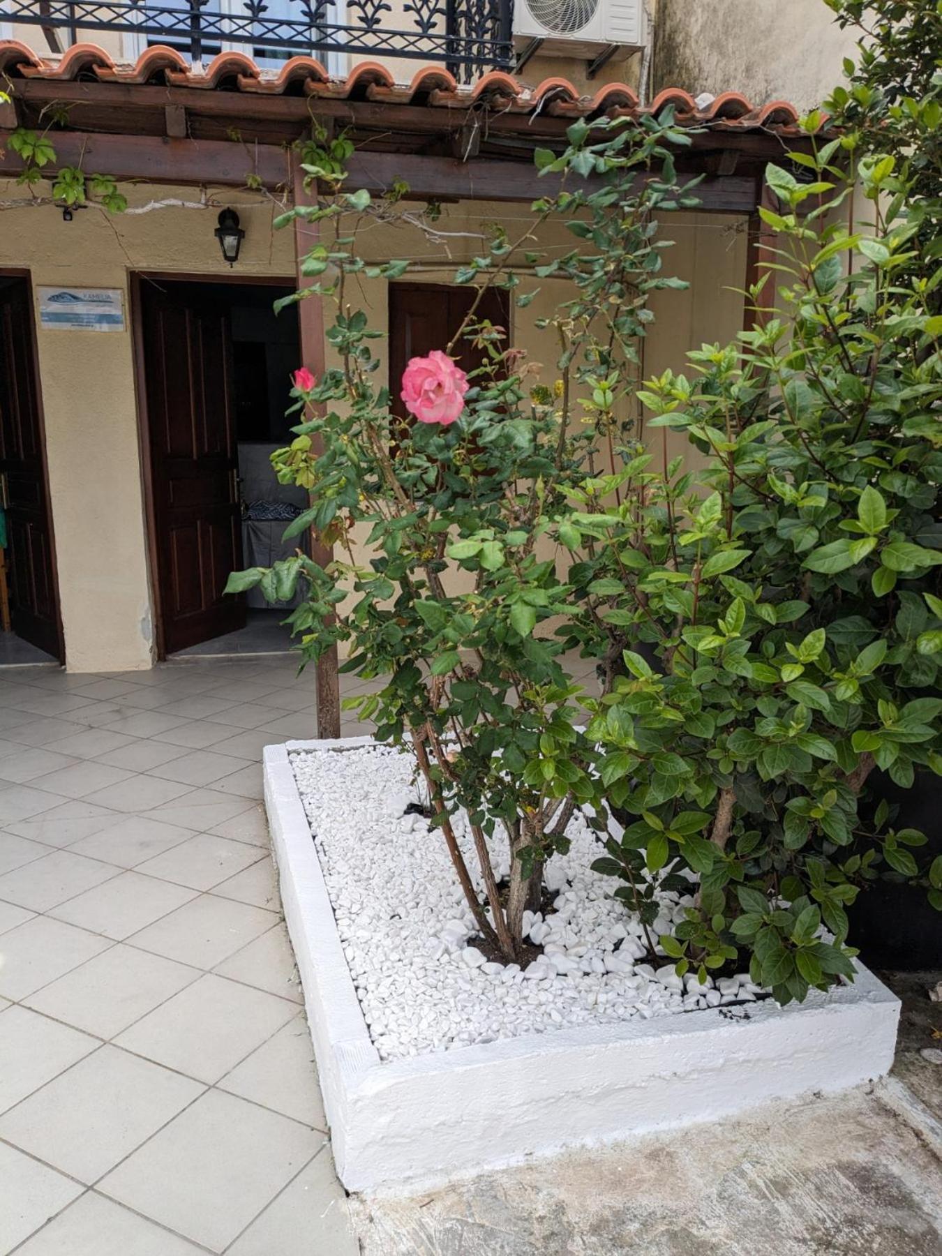 Kamelia Apartment Kokkari Luaran gambar